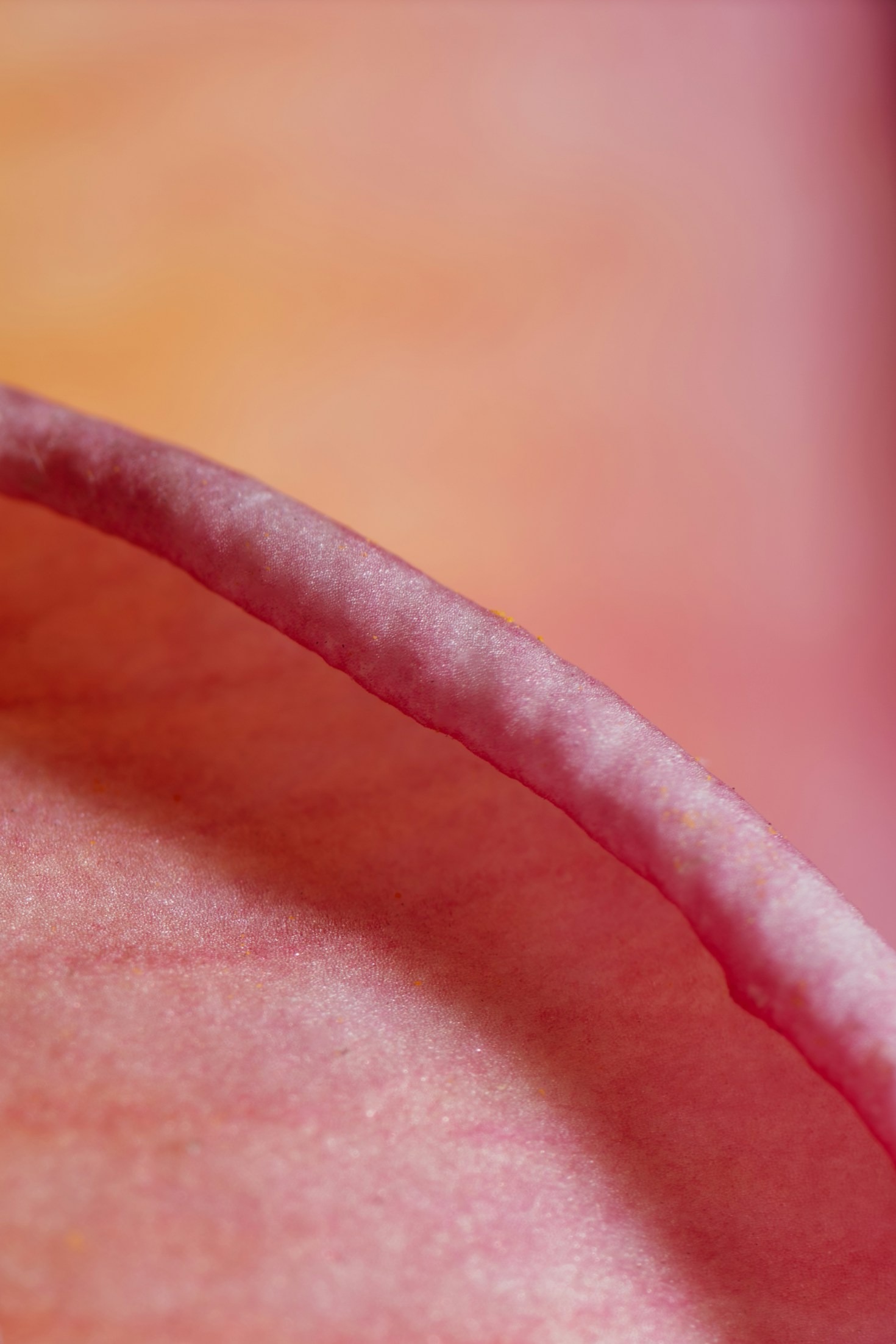 EndoNawigator: Twoje narzędzie diagnostyczne
